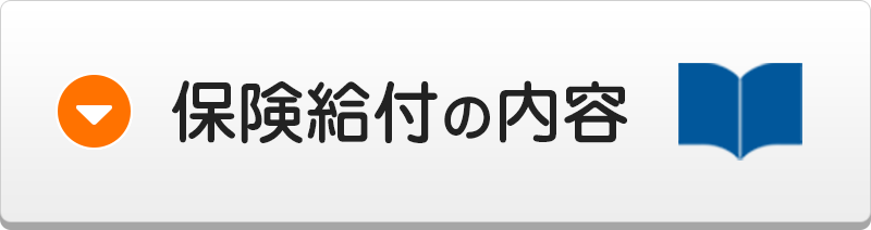 保険給付の内容